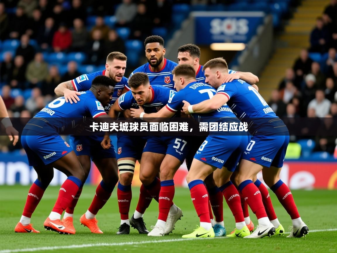 卡迪夫城球员面临困难,需团结应战 卡迪夫城球员面临困难,需团结应战