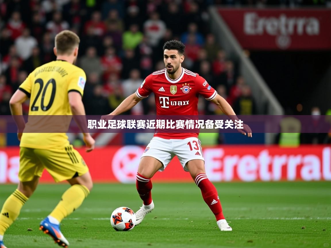 职业足球联赛近期比赛情况备受关注