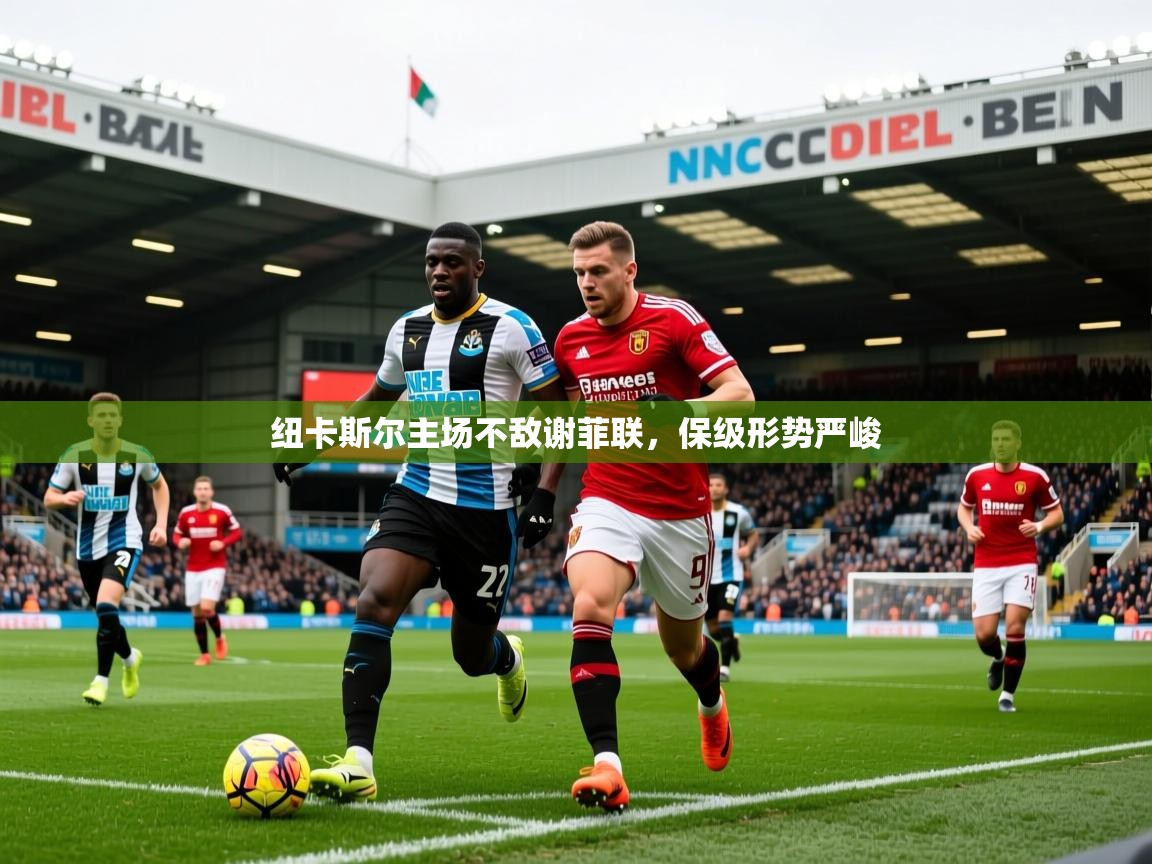 纽卡斯尔主场不敌谢菲联，保级形势严峻