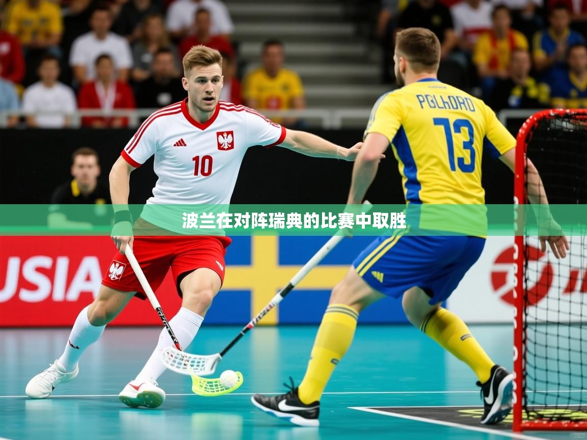 波兰在对阵瑞典的比赛中取胜