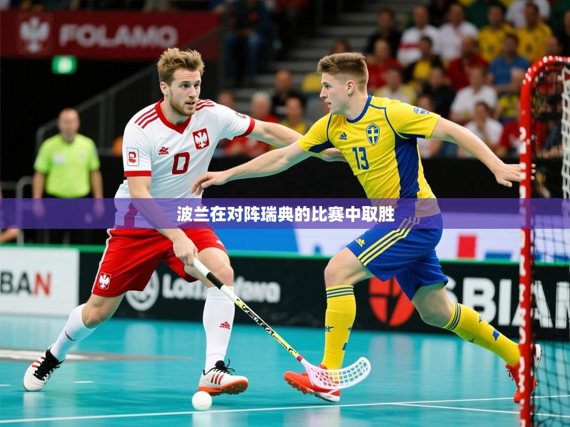 波兰在对阵瑞典的比赛中取胜